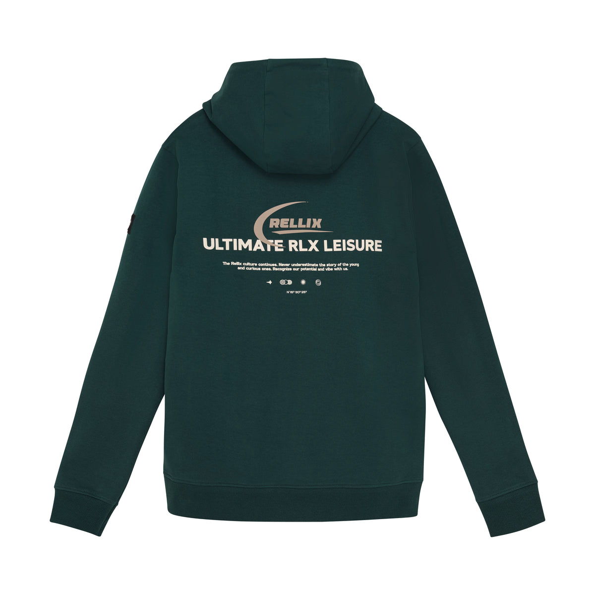 Hoodie Rellix Chestprint | Sea Moss