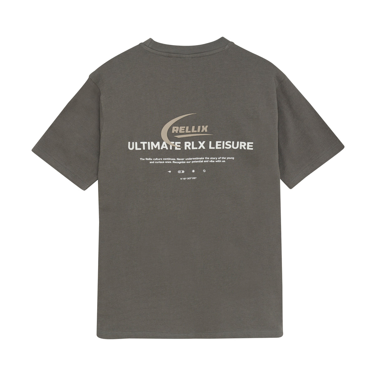 Oversized T-shirt Twill Backprint | Poppy Seed