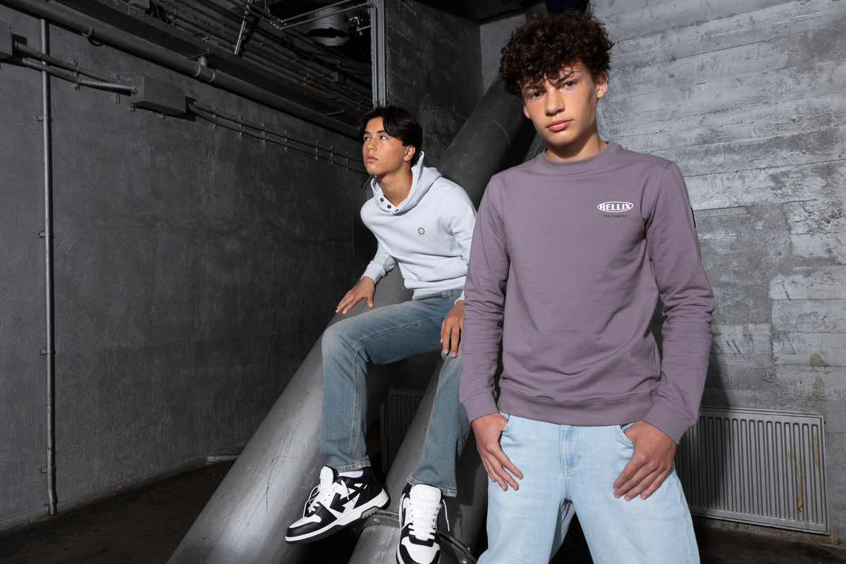 Sweater Rellix I Ash Mauve